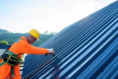 Local Roofing Experts