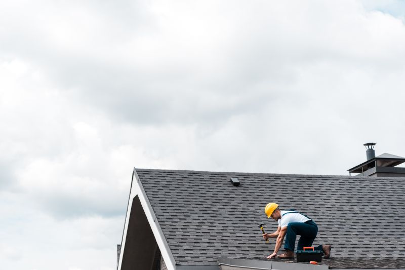 Top Roofing Professionals